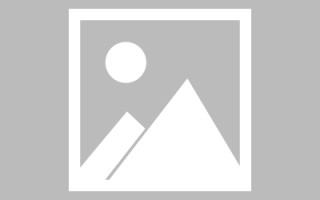 驻马店编制网站建设（编制网站建设包括哪些）
